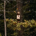 Okno Na Beskidy-domek Z Balia , Sauna I Niesamowitym Widokiem Na Gory Maków Podhalański