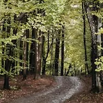 Nyaraló Okno Na Beskidy-domek Z Balia , Sauna I Niesamowitym Widokiem Na Gory
