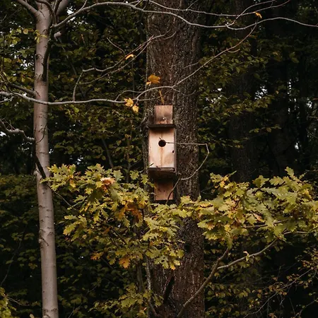 Okno Na Beskidy Maków Podhalański