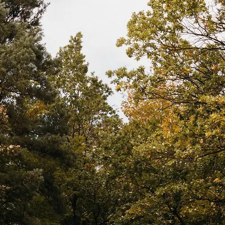 Okno Na Beskidy Nyaraló *