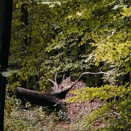 Okno Na Beskidy Nyaraló Maków Podhalański