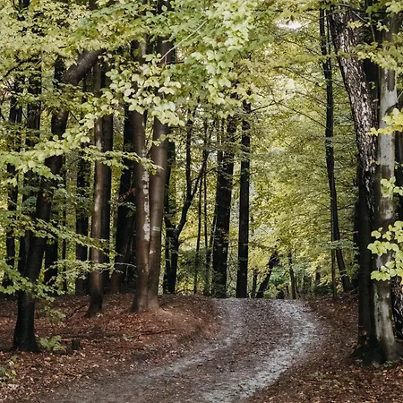 Nyaraló Okno Na Beskidy