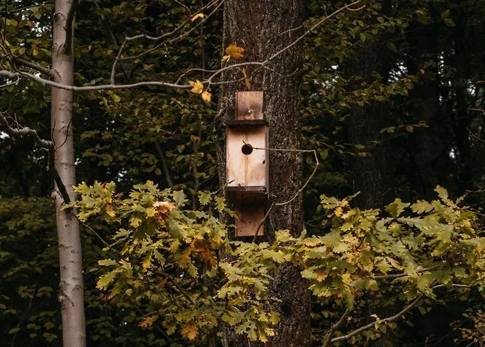 Okno Na Beskidy Makow Podhalanski