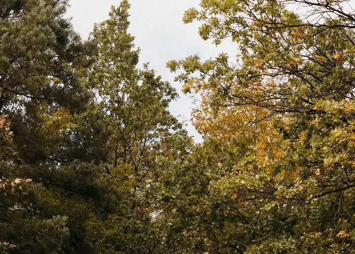 Okno Na Beskidy Dom wakacyjny *