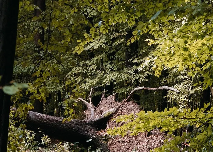 Okno Na Beskidy Casa de Férias Makow Podhalanski