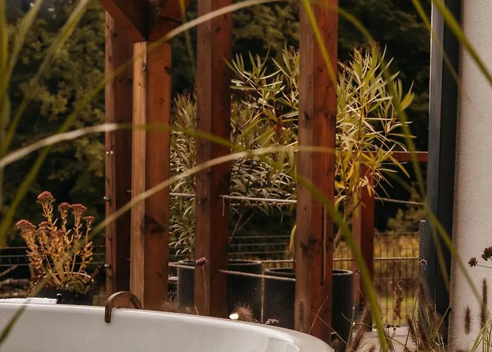 Okno Na Beskidy Makow Podhalanski