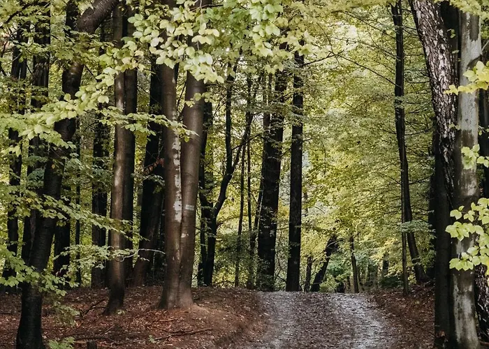 Casa de Férias Okno Na Beskidy