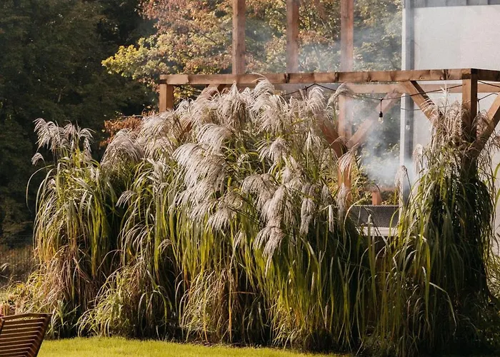 Okno Na Beskidy Dom wakacyjny *